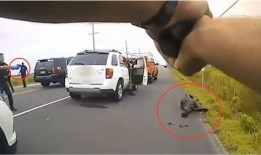 美国警察爆料视频大全最新,揭露执法内幕与争议瞬间